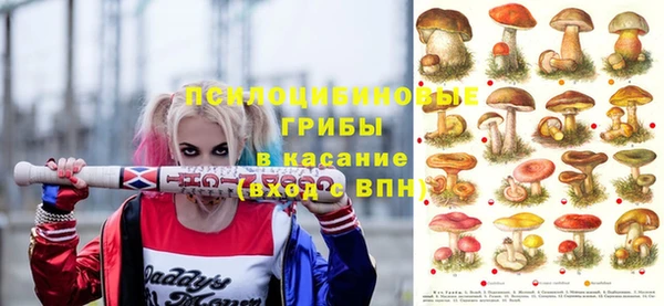 кристаллы Осинники